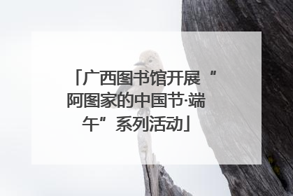 广西图书馆开展“阿图家的中国节·端午”系列活动