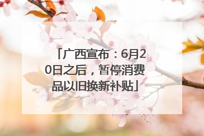广西宣布：6月20日之后，暂停消费品以旧换新补贴