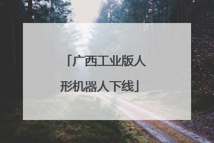 广西工业版人形机器人下线