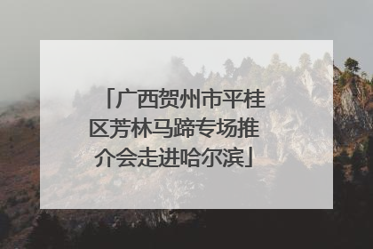广西贺州市平桂区芳林马蹄专场推介会走进哈尔滨