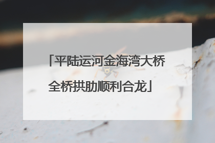 平陆运河金海湾大桥全桥拱肋顺利合龙