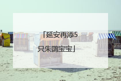 延安再添5只朱鹮宝宝