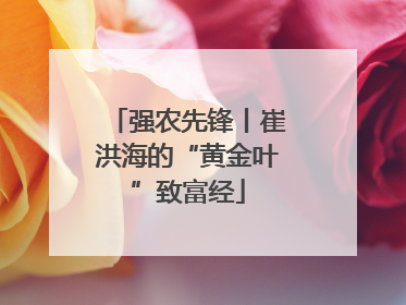 强农先锋丨崔洪海的“黄金叶”致富经