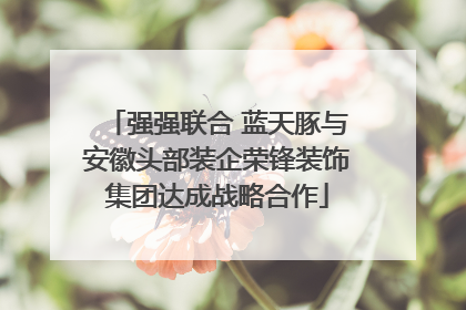 强强联合 蓝天豚与安徽头部装企荣锋装饰集团达成战略合作