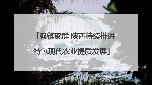 强链聚群 陕西持续推进特色现代农业提质发展