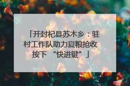 开封杞县苏木乡：驻村工作队助力夏粮抢收按下 “快进键”