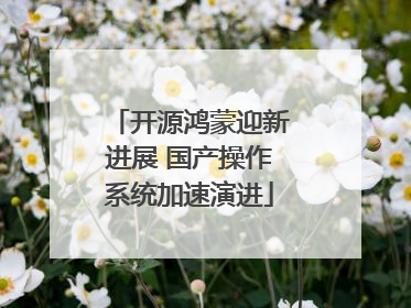 开源鸿蒙迎新进展 国产操作系统加速演进