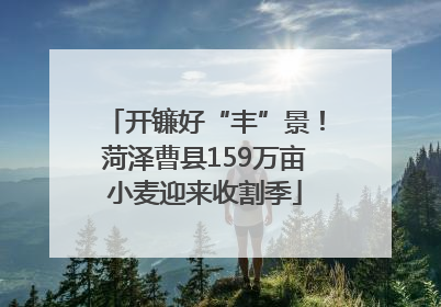 开镰好“丰”景！菏泽曹县159万亩小麦迎来收割季
