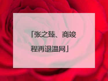 张之臻、商竣程再退温网