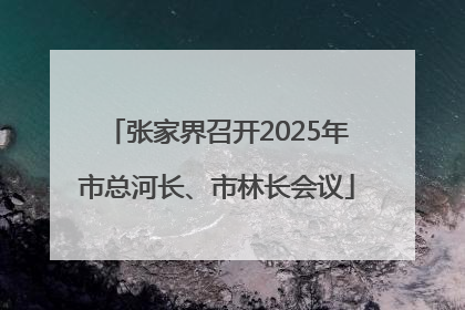 张家界召开2025年市总河长、市林长会议