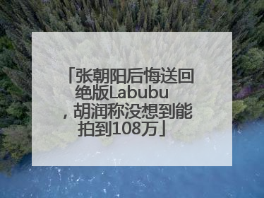 张朝阳后悔送回绝版Labubu，胡润称没想到能拍到108万