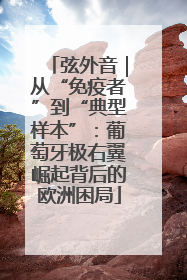 弦外音｜从“免疫者”到“典型样本”：葡萄牙极右翼崛起背后的欧洲困局