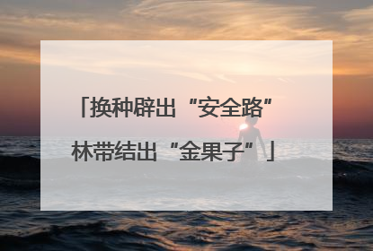 换种辟出“安全路” 林带结出“金果子”