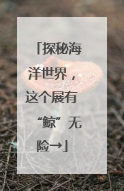 探秘海洋世界，这个展有“鲸”无险→