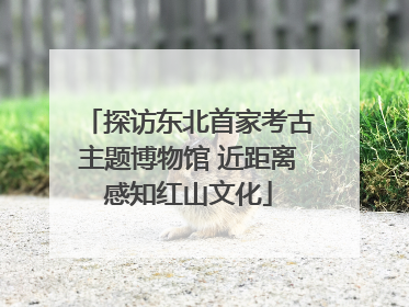 探访东北首家考古主题博物馆 近距离感知红山文化