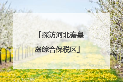 探访河北秦皇岛综合保税区