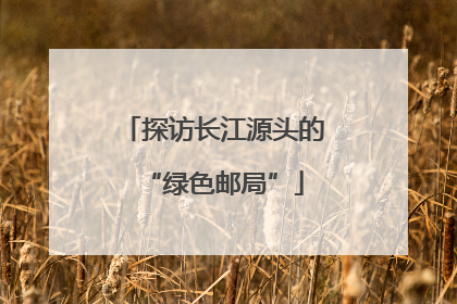 探访长江源头的“绿色邮局”