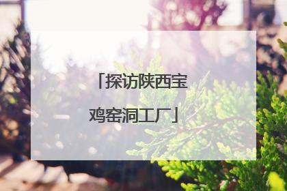 探访陕西宝鸡窑洞工厂