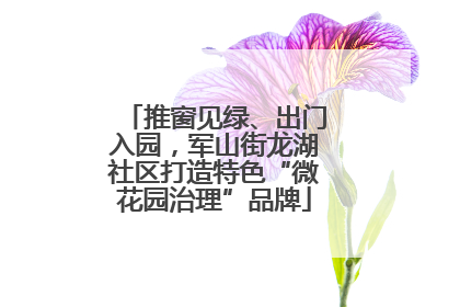 推窗见绿、出门入园，军山街龙湖社区打造特色“微花园治理”品牌