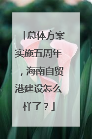 总体方案实施五周年，海南自贸港建设怎么样了？