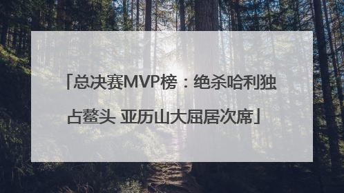 总决赛MVP榜：绝杀哈利独占鳌头 亚历山大屈居次席