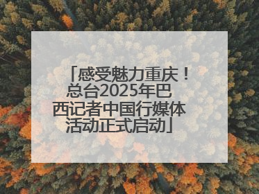 感受魅力重庆！总台2025年巴西记者中国行媒体活动正式启动