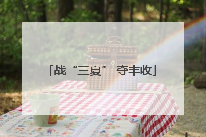 战“三夏” 夺丰收