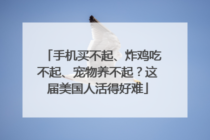 手机买不起、炸鸡吃不起、宠物养不起？这届美国人活得好难