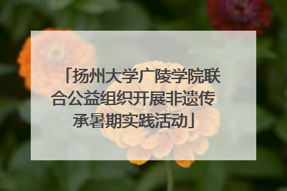 扬州大学广陵学院联合公益组织开展非遗传承暑期实践活动