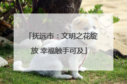 抚远市：文明之花绽放 幸福触手可及
