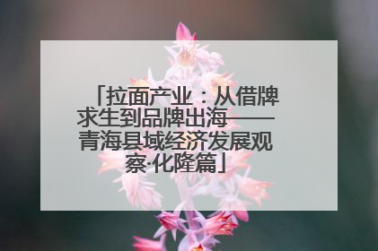 拉面产业：从借牌求生到品牌出海——青海县域经济发展观察·化隆篇