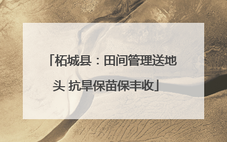 柘城县：田间管理送地头 抗旱保苗保丰收