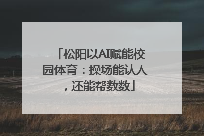 松阳以AI赋能校园体育：操场能认人，还能帮数数