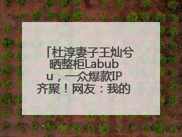杜淳妻子王灿兮晒整柜Labubu，一众爆款IP齐聚！网友：我的 “梦中情柜”