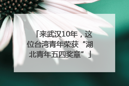 来武汉10年，这位台湾青年荣获“湖北青年五四奖章”