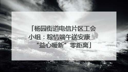 杨园街道电信片区工会小组：粽情端午送安康 “益心暖新”零距离