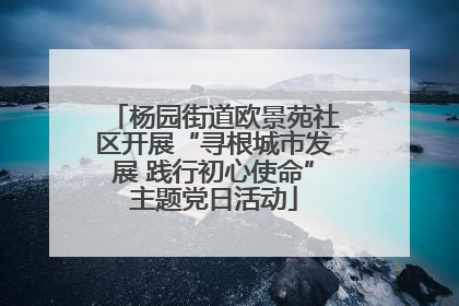 杨园街道欧景苑社区开展“寻根城市发展 践行初心使命”主题党日活动