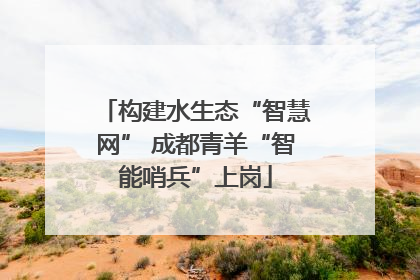 构建水生态“智慧网” 成都青羊“智能哨兵”上岗