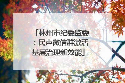 林州市纪委监委：民声微信群激活基层治理新效能
