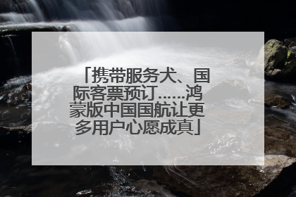 携带服务犬、国际客票预订……鸿蒙版中国国航让更多用户心愿成真