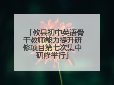 攸县初中英语骨干教师能力提升研修项目第七次集中研修举行