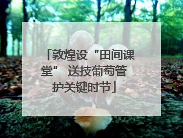 敦煌设“田间课堂” 送技葡萄管护关键时节
