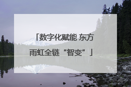 数字化赋能 东方雨虹全链“智变”
