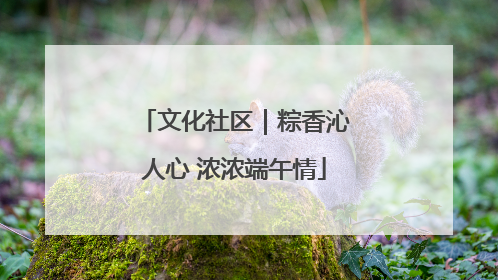 文化社区｜粽香沁人心 浓浓端午情