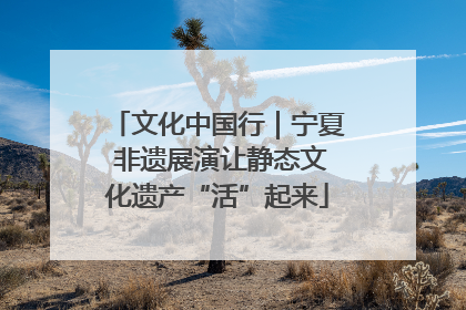 文化中国行｜宁夏 非遗展演让静态文化遗产“活”起来