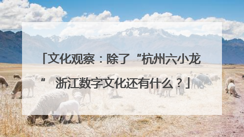 文化观察：除了“杭州六小龙” 浙江数字文化还有什么？