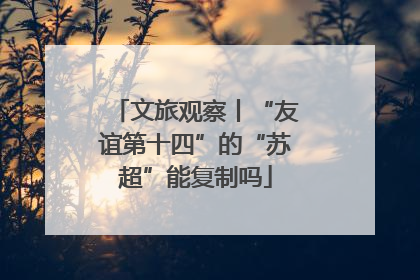 文旅观察丨“友谊第十四”的“苏超”能复制吗
