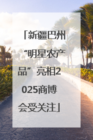 新疆巴州“明星农产品”亮相2025商博会受关注