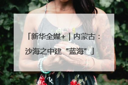 新华全媒+｜内蒙古：沙海之中建“蓝海”