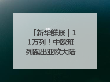 新华鲜报｜11万列！中欧班列跑出亚欧大陆“新时速”